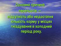 Основна причина перельотів — відсутність або недостатня кількість корму у міс...