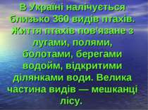 В Україні налічується близько 360 видів птахів. Життя птахів пов'язане з луга...