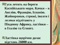 Гуси летять на береги Каспійського моря. Качки – в Англію, Францію, Іспанію. ...