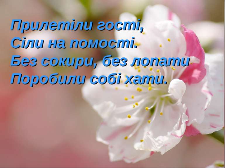 Прилетіли гості, Сіли на помості. Без сокири, без лопати Поробили собі хати.