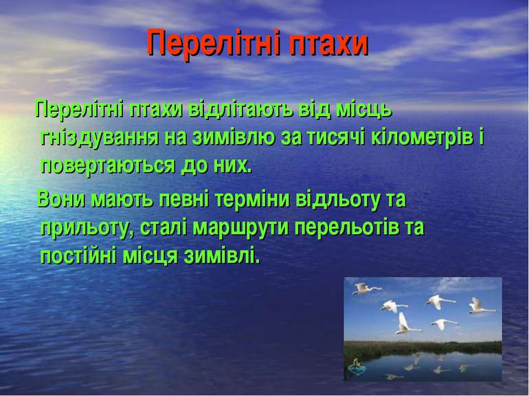 Перелітні птахи Перелітні птахи відлітають від місць гніздування на зимівлю з...