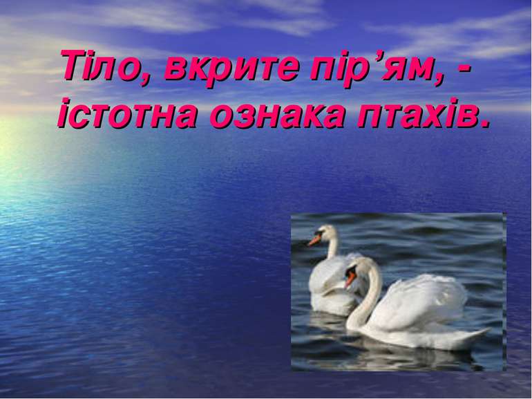 Тіло, вкрите пір’ям, - істотна ознака птахів.