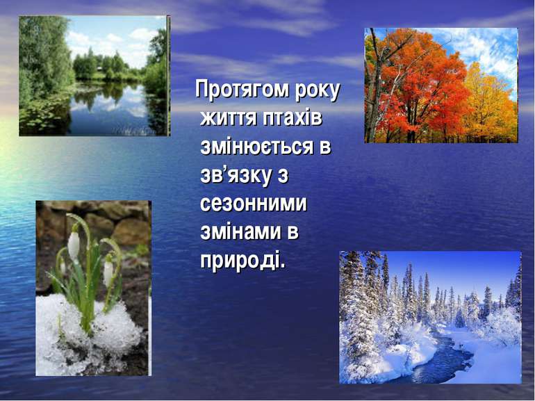 Протягом року життя птахів змінюється в зв’язку з сезонними змінами в природі.