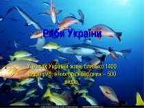 Риби України У водах України живе близько 1400 видів риб, з них прісноводних ...