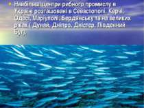 Найбільші центри рибного промислу в Україні розташовані в Севастополі, Керчі,...