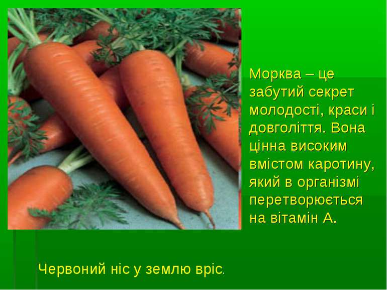 Морква – це забутий секрет молодості, краси і довголіття. Вона цінна високим ...