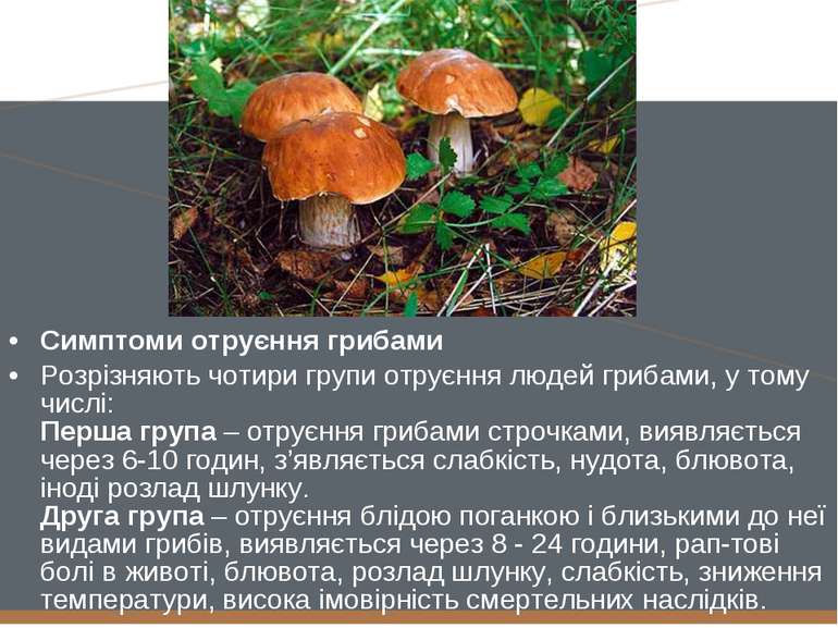 Симптоми отруєння грибами Розрізняють чотири групи отруєння людей грибами, у ...