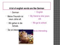 A lot of english words are like German German Meine Freundin ist neun Jahre a...