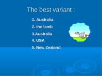The best variant : 1. Australia 2. the lamb 3.Australia 4. USA 5. New Zealand