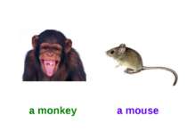 a monkey a mouse