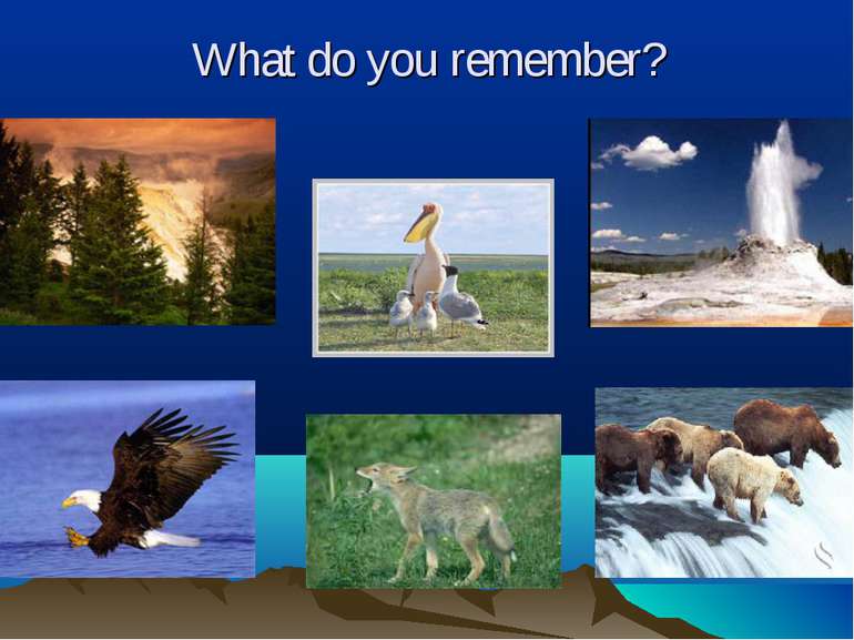 What do you remember?