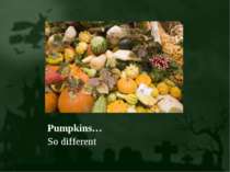 Pumpkins… So different