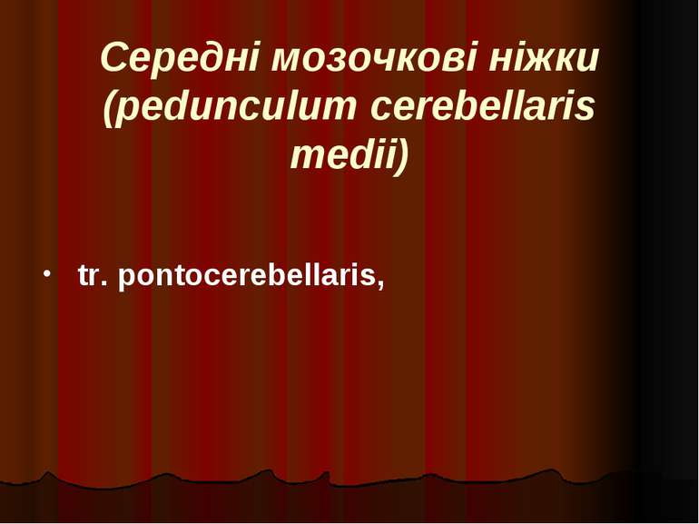 Середні мозочкові ніжки (pedunculum cerebellaris medii) tr. pontocerebellaris,
