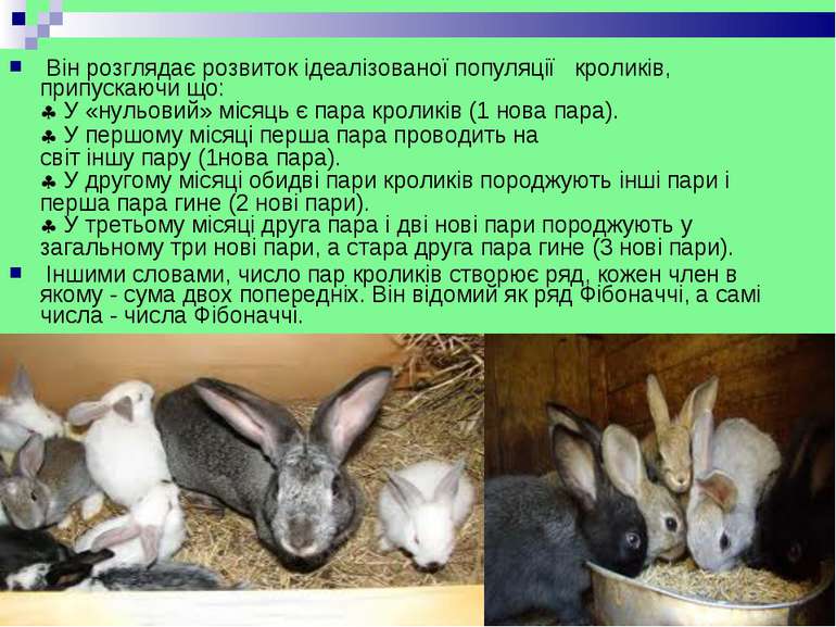  Він розглядає розвиток ідеалізованої популяції  кроликів,  припускаючи що:  ...