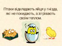 Птахи відкладають яйця у гнізда, які не покидають, а зігрівають своїм теплом.