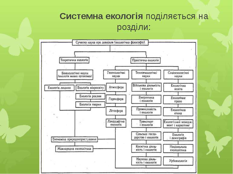 Системна екологія поділяється на розділи:
