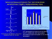 Зміни внутрішньоклітинного Na+ протягом різних метаболічних стадій у перфузов...