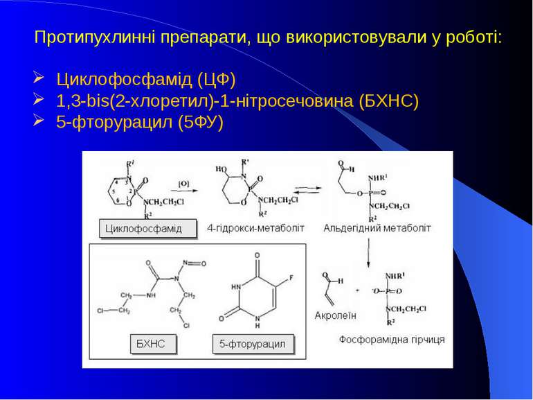 Протипухлинні препарати, що використовували у роботі: Циклофосфамід (ЦФ) 1,3-...