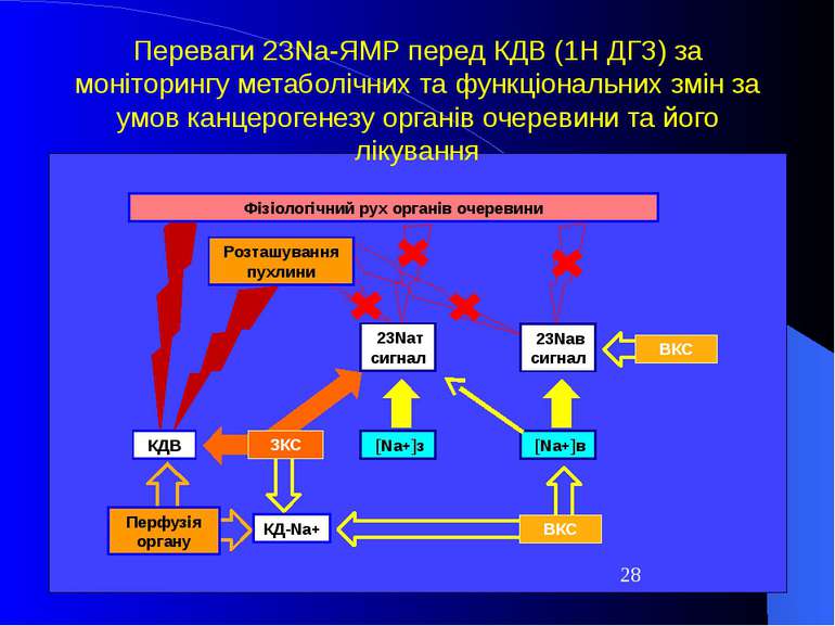 23Naт сигнал КДВ Розташування пухлини [Na+]з 23Naв сигнал [Na+]в Фізіологічни...