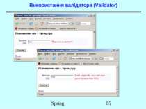 Використання валідатора (Validator) Spring