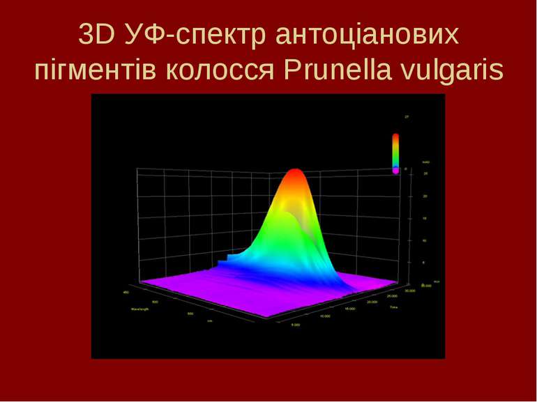 3D УФ-спектр антоціанових пігментів колосся Prunella vulgaris