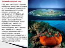 Риф, який сам по собі є одним з найбільших геологічних утворень, по суті, скл...