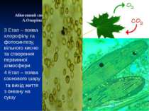 Абіогенний синтез А.Опаріна 3 Етап – поява хлорофілу та фотосинтезу, вільного...