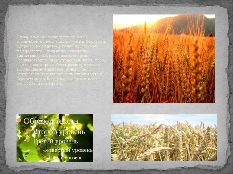 Основу сільського господарства становило вирощування зернових злакових культу...
