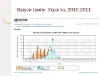 Віруси грипу: Україна, 2010-2011