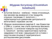 Збудник ботулізму (Clostridium botulinum) Ботулізм (botulus - ковбаса) - тяжк...