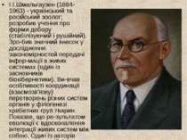 І.І.Шмальгаузен (1884-1963) - український та російський зоолог; розробив учен...