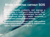 Море посилає сигнал SOS 20 країн Європи зливають свої відходи в Чорне море, в...