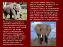 The decrease in population of elephants is mainly because of habitat loss and...