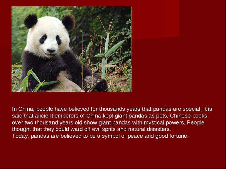 In China, people have believed for thousands years that pandas are special. I...