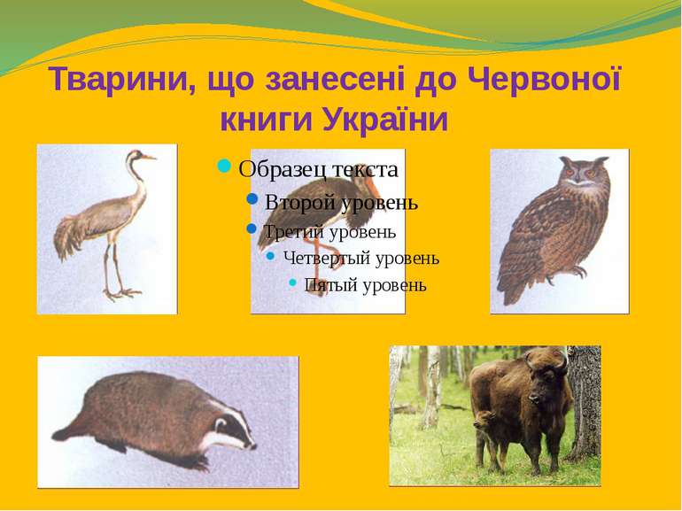 Тварини, що занесені до Червоної книги України