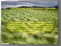 Екологічна реабілітація грунтів Переважаючі ґрунти на території заказника – ч...