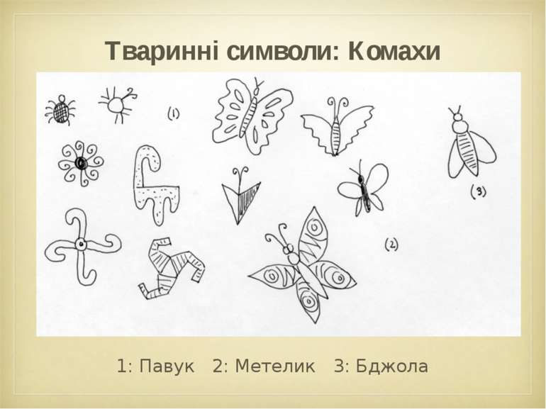 Тваринні символи: Комахи 1: Павук 2: Метелик 3: Бджола