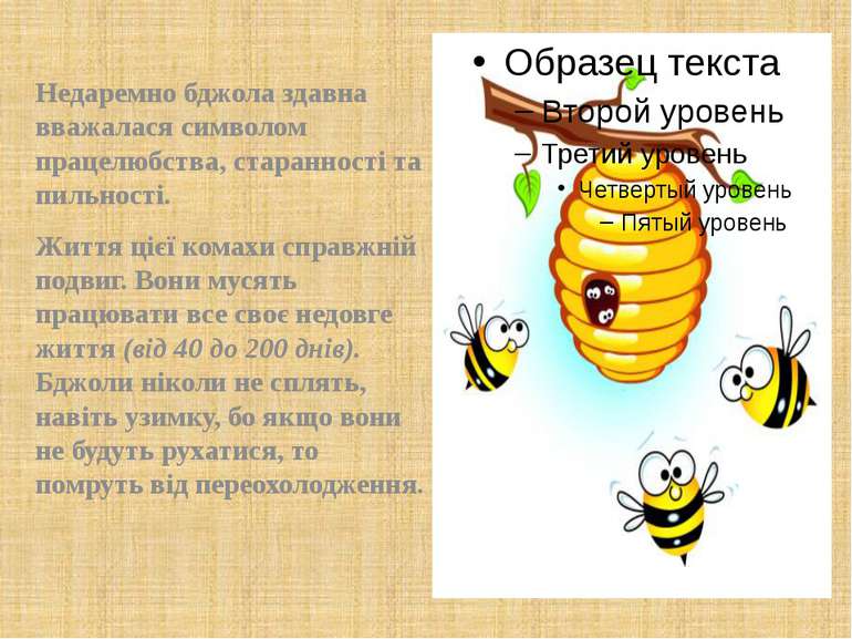 Недаремно бджола здавна вважалася символом працелюбства, старанності та пильн...
