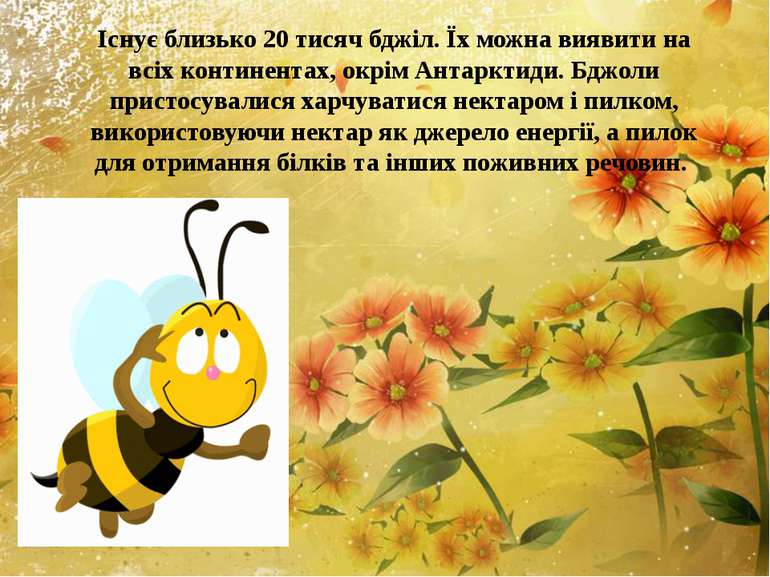 Існує близько 20 тисяч бджіл. Їх можна виявити на всіх континентах, окрім Ант...