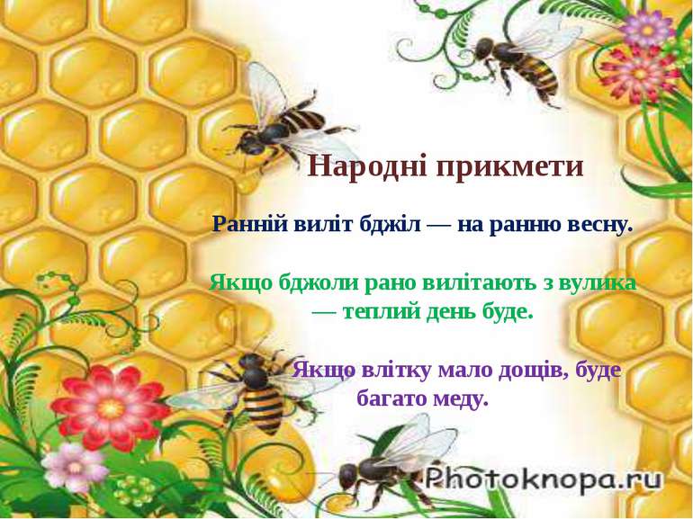 Народні прикмети Ранній виліт бджіл — на ранню весну. Якщо бджоли рано виліта...
