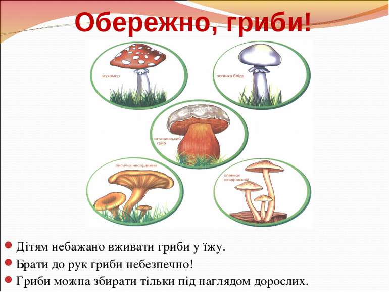Обережно, гриби! Дітям небажано вживати гриби у їжу. Брати до рук гриби небез...
