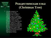 Рождественская елка (Christmas Tree) Обычай украшать ель появился в Англии ср...