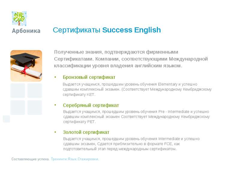 Сертификаты Success English Полученные знания, подтверждаются фирменными Серт...