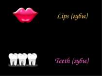 Lips (губы) Teeth (зубы)