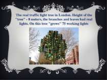 The real traffic light tree in London. Height of the "tree" - 8 meters, the b...
