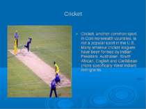 Cricket Cricket, another common sport in Commonwealth countries, is not a pop...