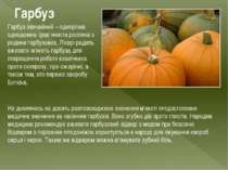 Гарбуз Гарбуз звичайний – однорічна однодомна трав’яниста рослина з родини га...