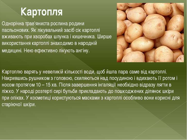 Картопля Однорічна трав’яниста рослина родини пасльонових. Як лікувальний зас...