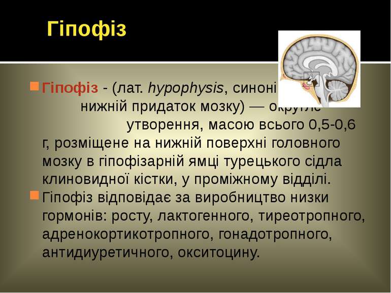 Гіпофіз - (лат. hypophysis, синонім - нижній придаток мозку) — округле утворе...