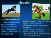 Породи Ахалтекі нський кінь — одна з найдавніших культурних порід верхових ко...